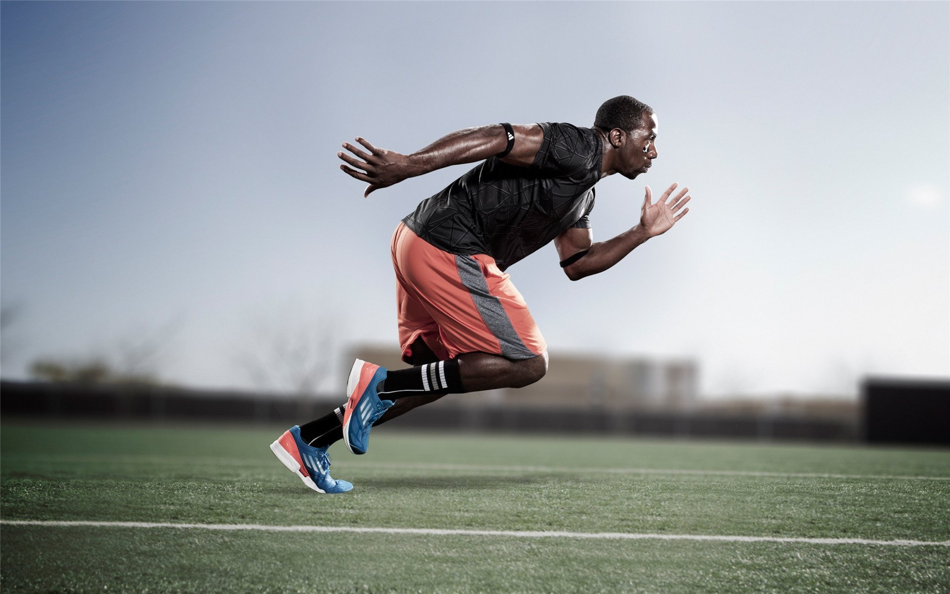 九游app官方下载-“美洲狮队进军橄榄球冠军赛决赛，世界橄榄球格局或将改变”