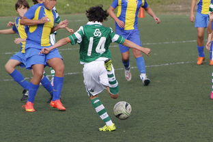 九游娱乐网页版-中国足球亚冠：上海申花逆转晋级，燃爆现场热潮，亚冠小组赛上海申花